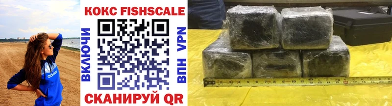 Кокаин FishScale  Купить закладки  Киселёвск 