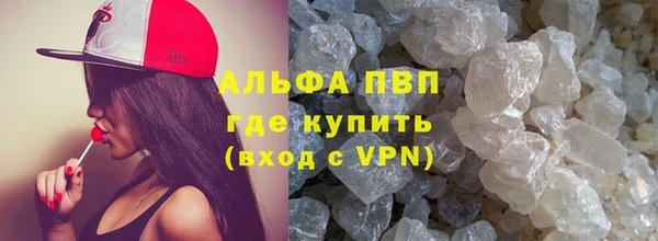 шишки Инта