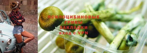 гидропоника Каменск-Шахтинский
