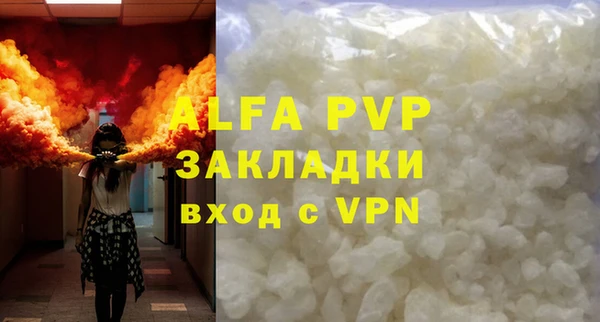 шишки Каменка