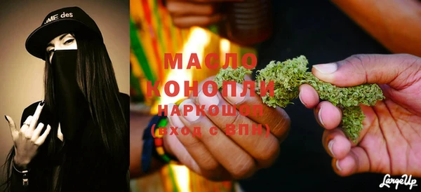 шишки Инта