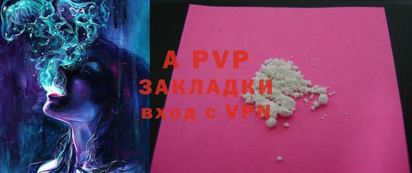 шишки Инта