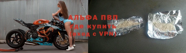 шишки Инта