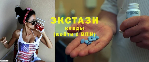 шишки Инта