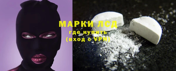 шишки Инта