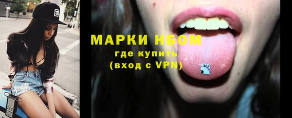 ГАЛЛЮЦИНОГЕННЫЕ ГРИБЫ Иннополис