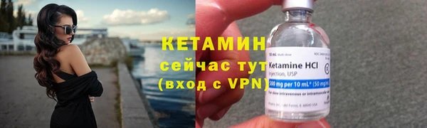 шишки Каменка