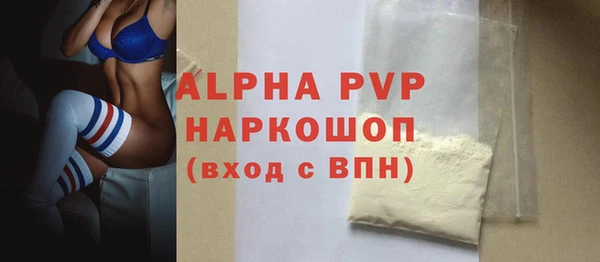 шишки Инта