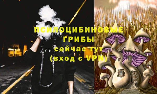 ГАЛЛЮЦИНОГЕННЫЕ ГРИБЫ Иннополис