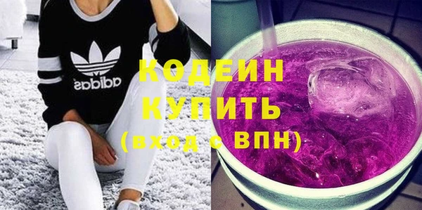 шишки Инта