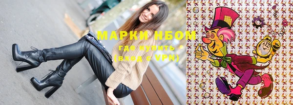 ГАЛЛЮЦИНОГЕННЫЕ ГРИБЫ Иннополис