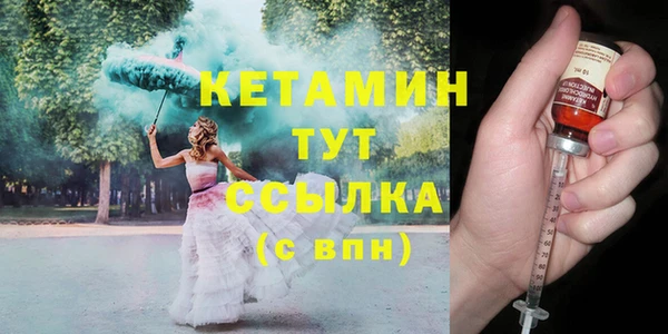 шишки Инта