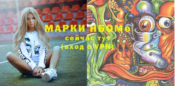 шишки Инта