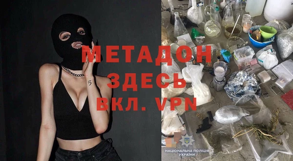 шишки Инта