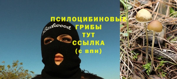 мдма Инсар