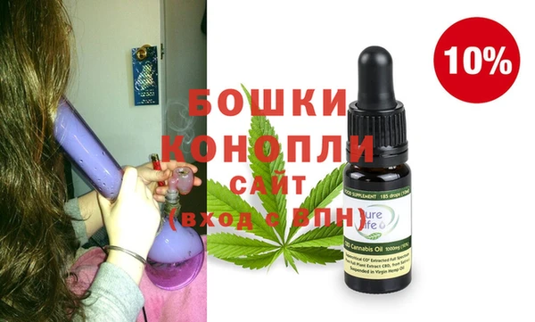 шишки Инта