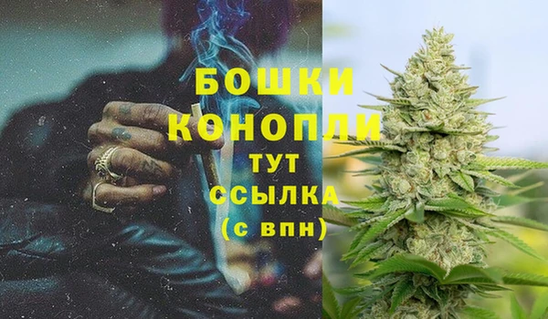 ГАЛЛЮЦИНОГЕННЫЕ ГРИБЫ Иннополис