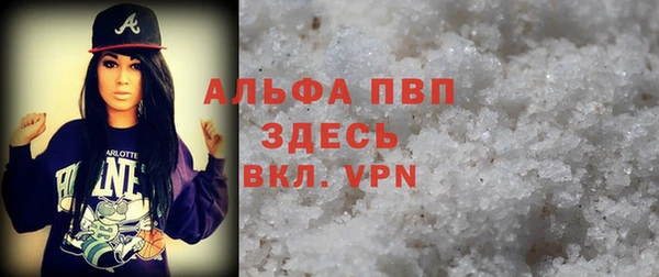 шишки Инта