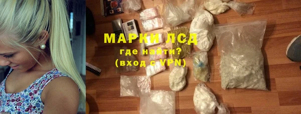 шишки Инта