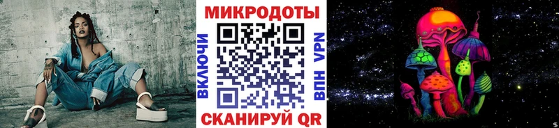 Купить закладки  Киселёвск  Галлюциногенные грибы Psilocybe 